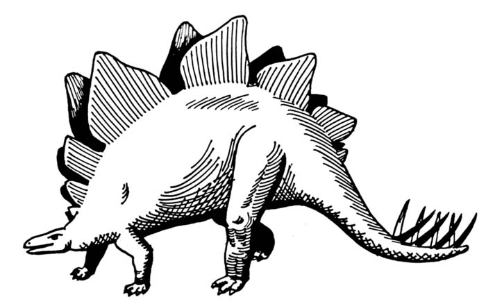 Black  White Stegosaurus Drawing