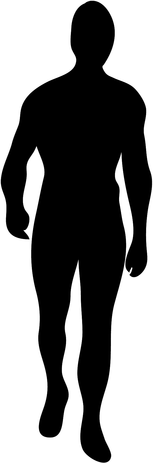 Free Vectors  male whole body silhouette