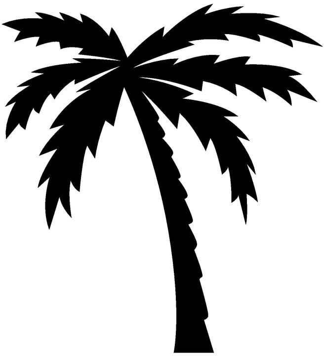 2100 Palm Tree Moon Illustrations RoyaltyFree Vector Graphics  Clip  Art  iStock  Palm tree night Catalina