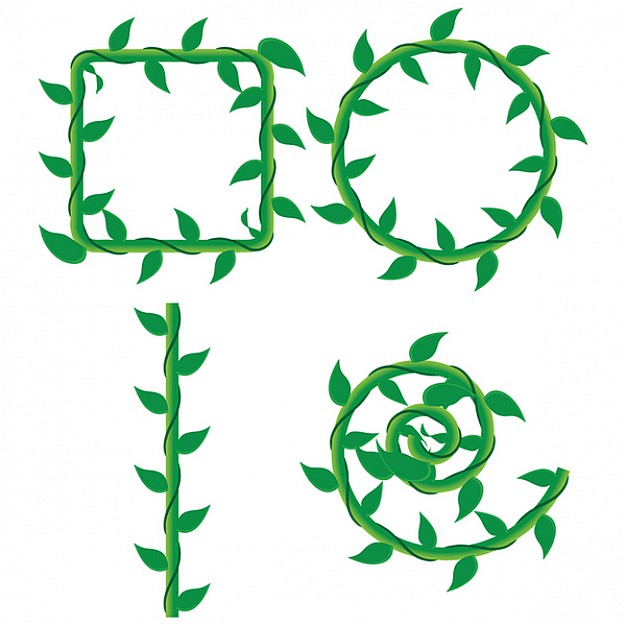 Spiky Vine icon.