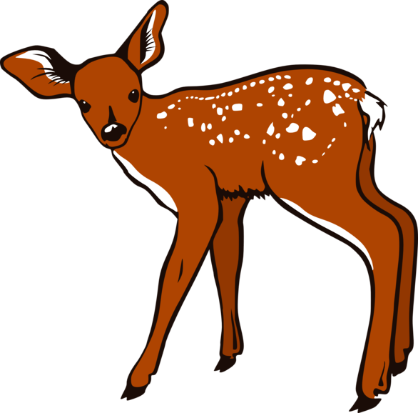 Cute Baby Deer Clipart | Clipart library - Free Clipart Images