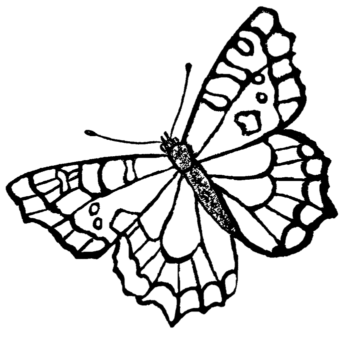 Butterfly Coloring Pages (15) | Coloring Kids