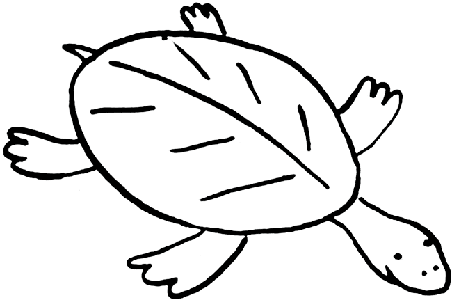 Cartoon Turtle Illustration for Kids’ Educational Content