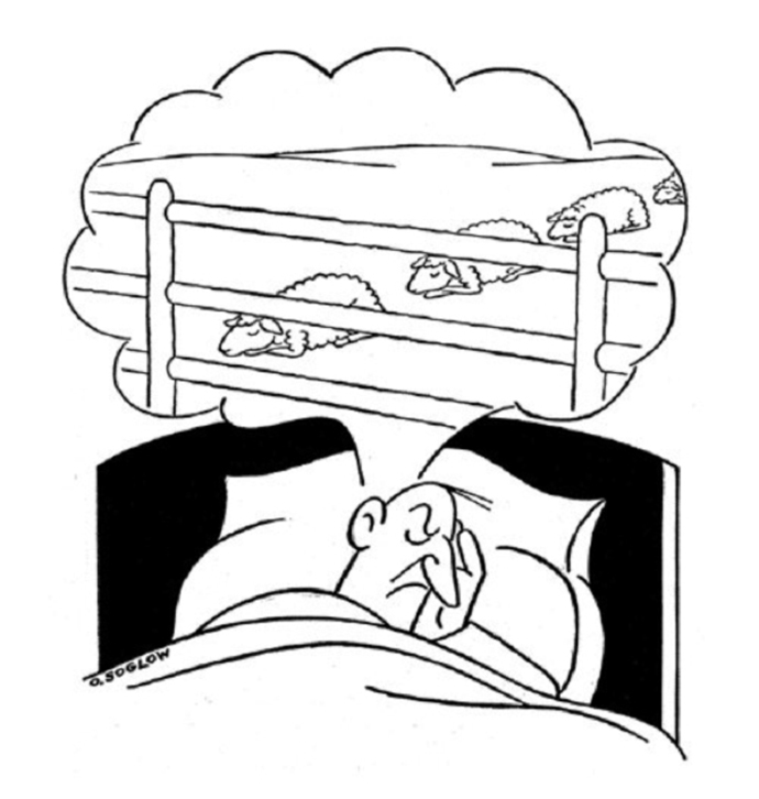 Of Sleep and Sheep - The New Yorker
