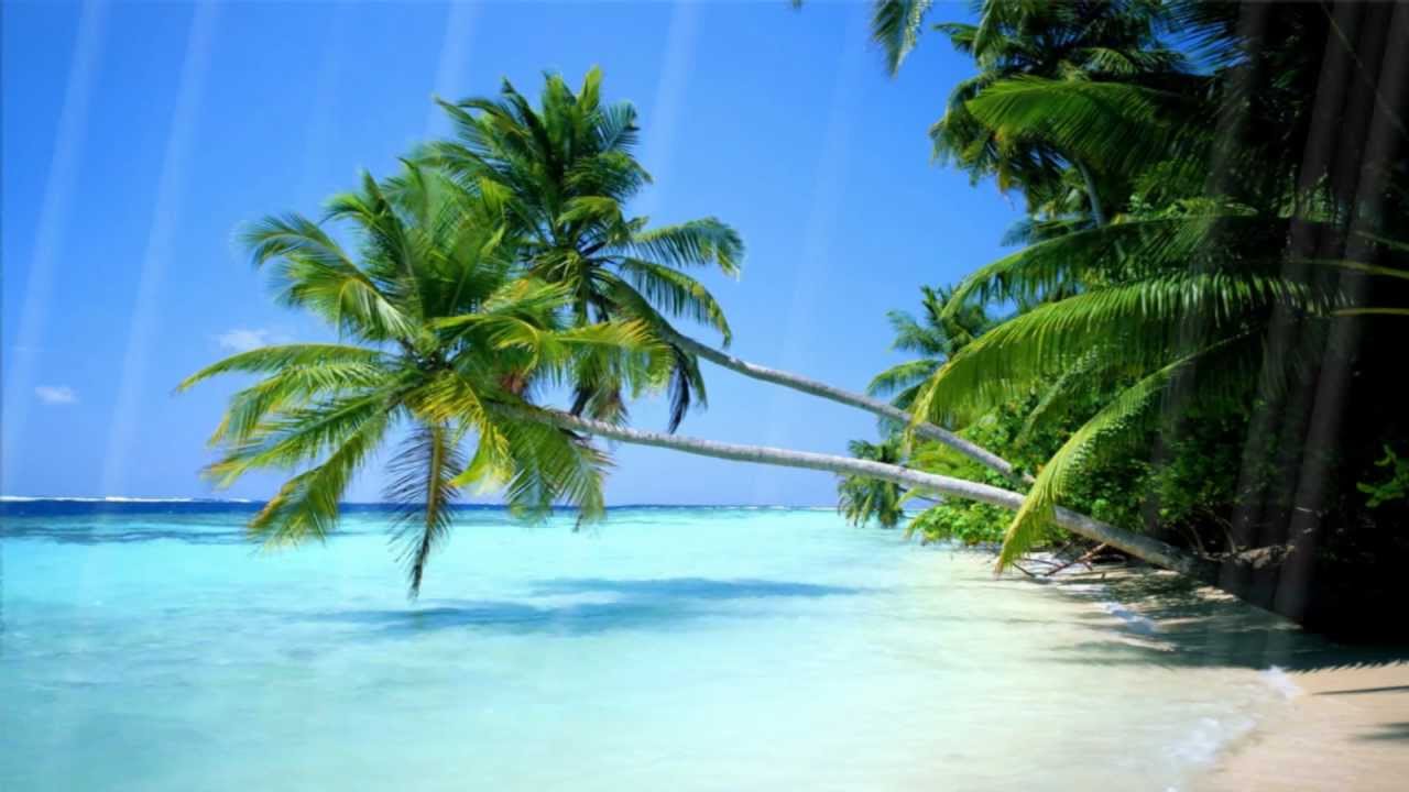 Free moving background (beach themed) 