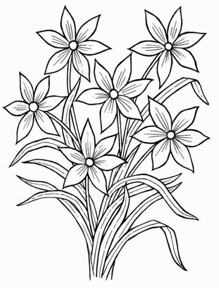 Buy Simple Flowers Drawing, Set of 3 Online in India - Etsy
