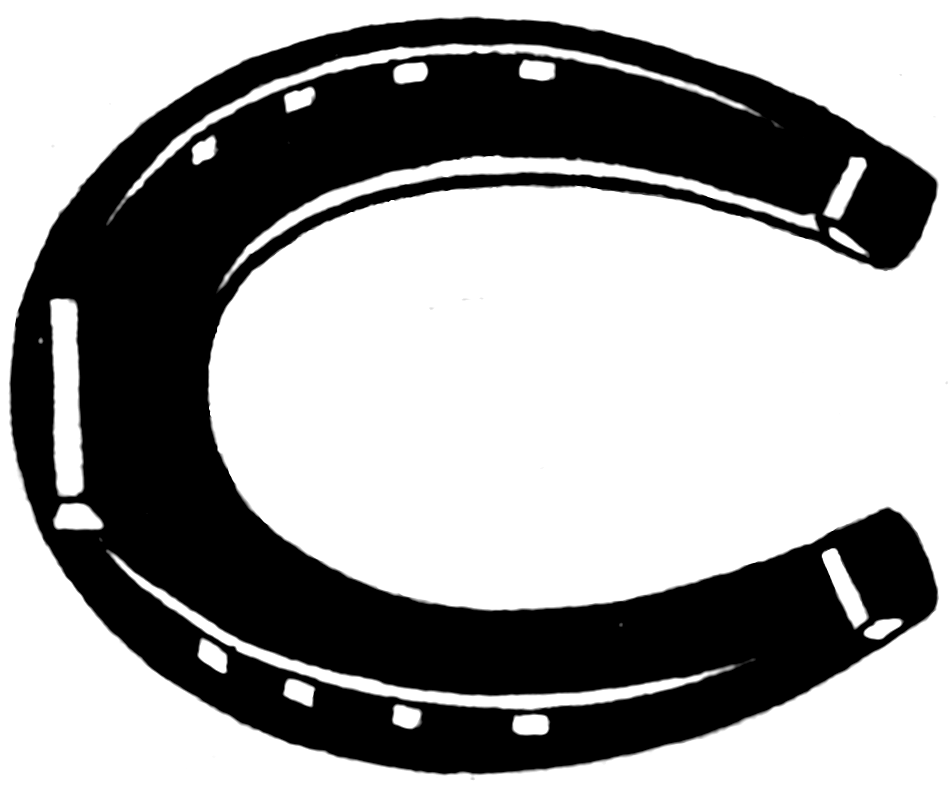 Horse Shoe Pictures