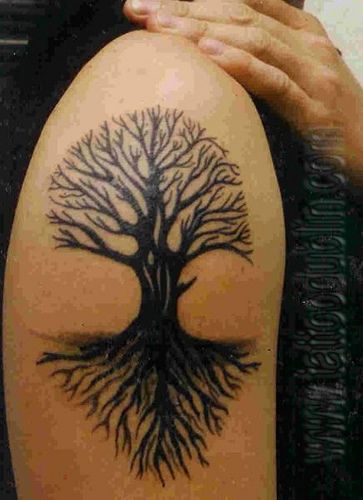 Night Tree Tattoo on Shoulder  Best Tattoo Ideas Gallery