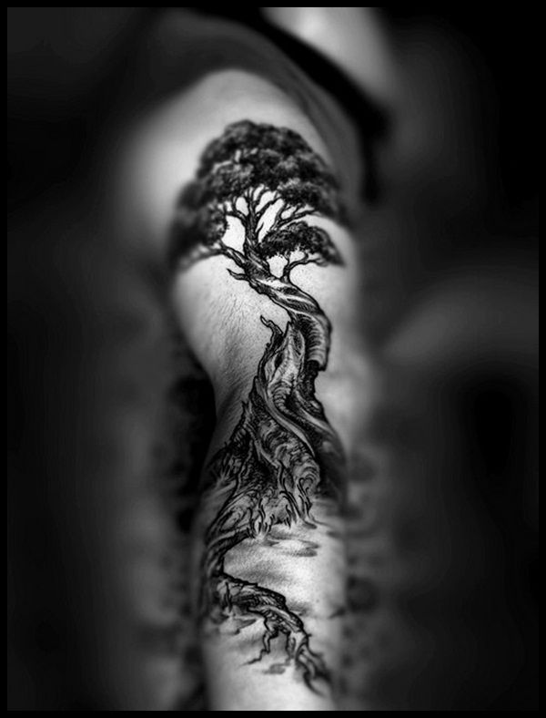 Awesome black tree tattoo | Clipart library › Tattoo Designs / Ink 