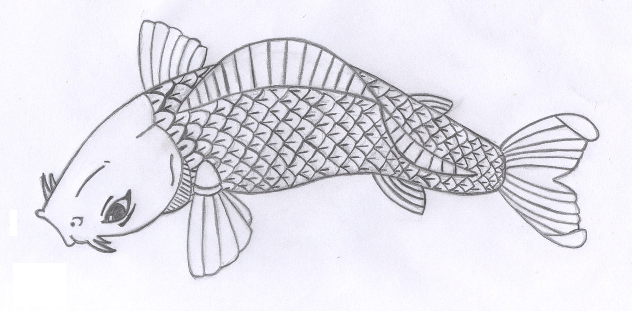 Original Pen & Ink fish drawing sketch of a goldfish on ivory white smooth  paper | eBay
