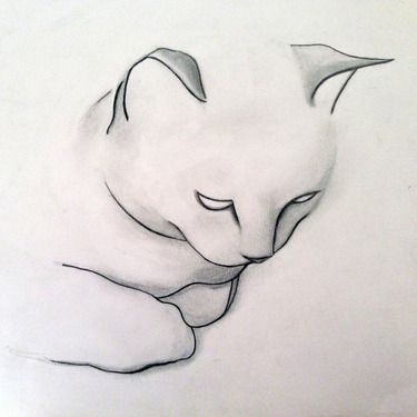How to draw a cat step by step | Cat pencil drawing easy - YouTube