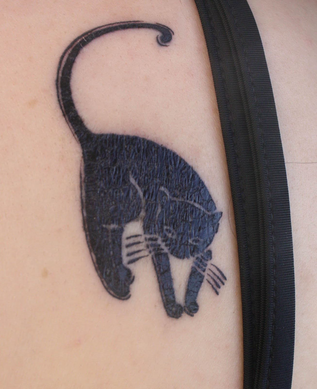 Cat Tattoos - Designs and Ideas