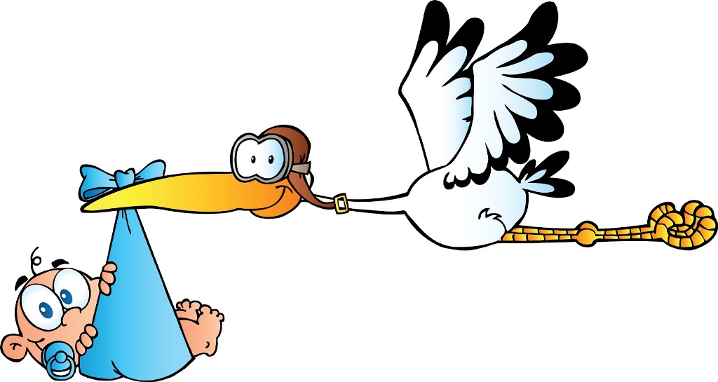 Stork Delivering Baby Cartoon - Fun Illustration for Baby Announcements