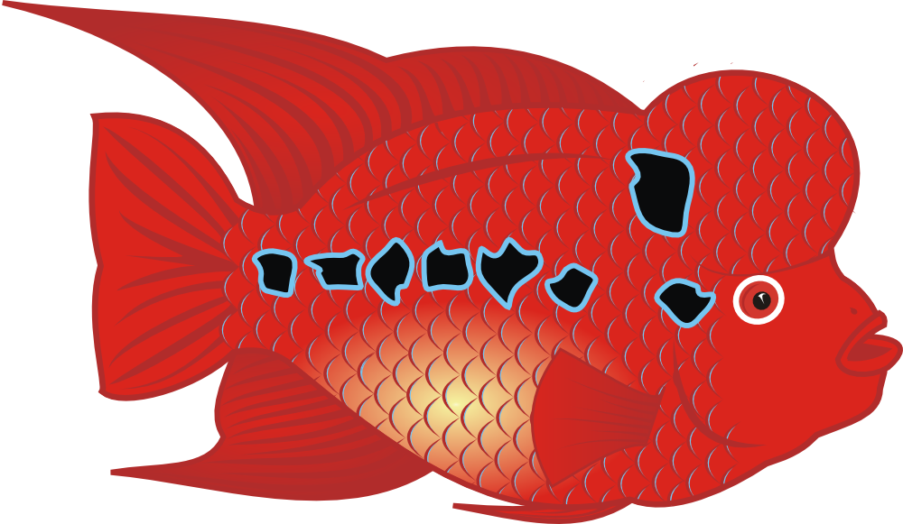 OnlineLabels Clip Art - Flowerhorn Fish