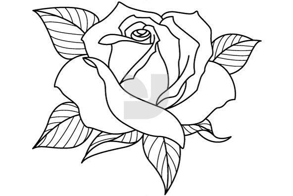 flowers on Clipart library | Magnolias, Flower Drawings and Flower 