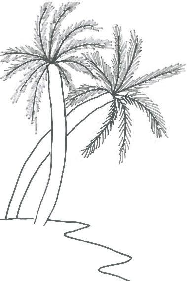 Arecaceae Tree Coconut, Tree Home s, white, leaf, monochrome png | PNGWing