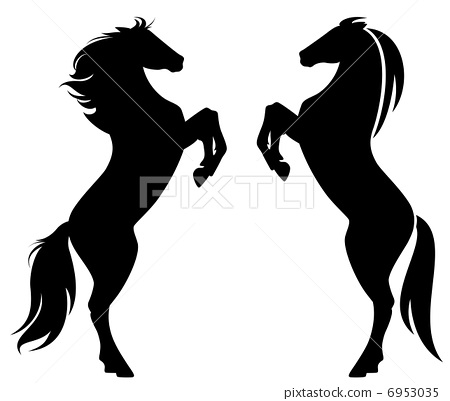 rearing up horse fine vector silhouette and outline - graceful 