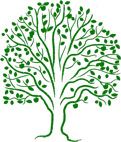 The Tree of Life | World Federation of Methodist and Uniting 
