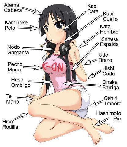 Parts of the Body - Japanese by NatalyTheHedgehog1 on Clipart library