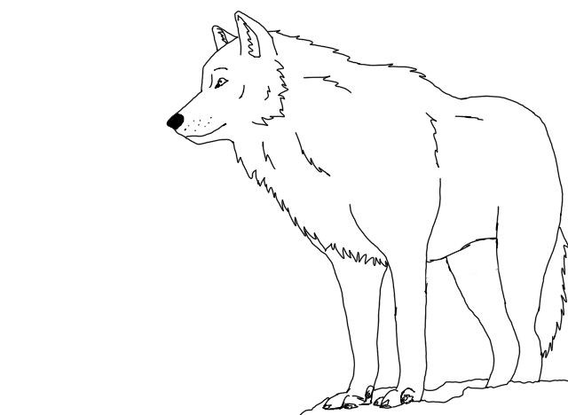 Snow Wolf Outlines by BlackLightning95 on Clipart library