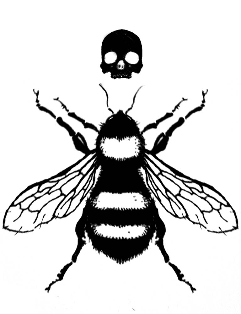 Bee Tattoo Vector Images over 1000
