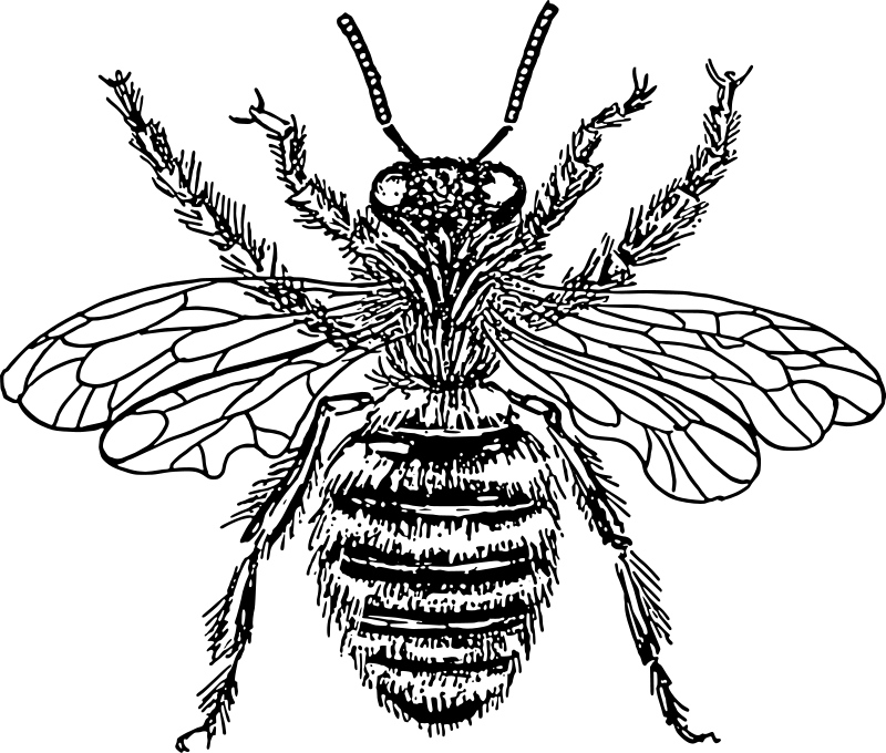 Image Not Available - Placeholder for Missing Visual Content