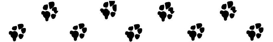 Paw Print Vector Pattern - Free Download for Pet & Wildlife Design