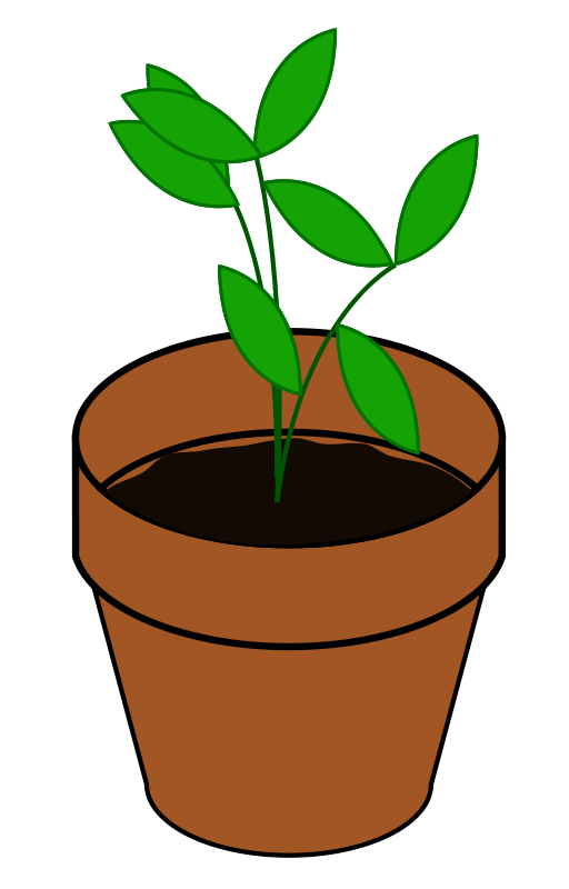 Potted Green Plant Illustration - Free Vector Graphic for Web & Print