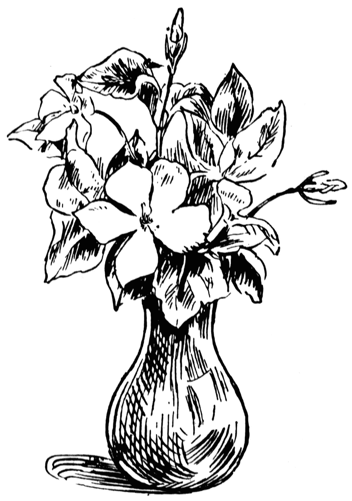 faatradwaicap: clip art flowers images