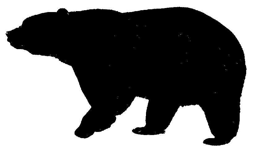 Pix For  Standing Black Bear Outline