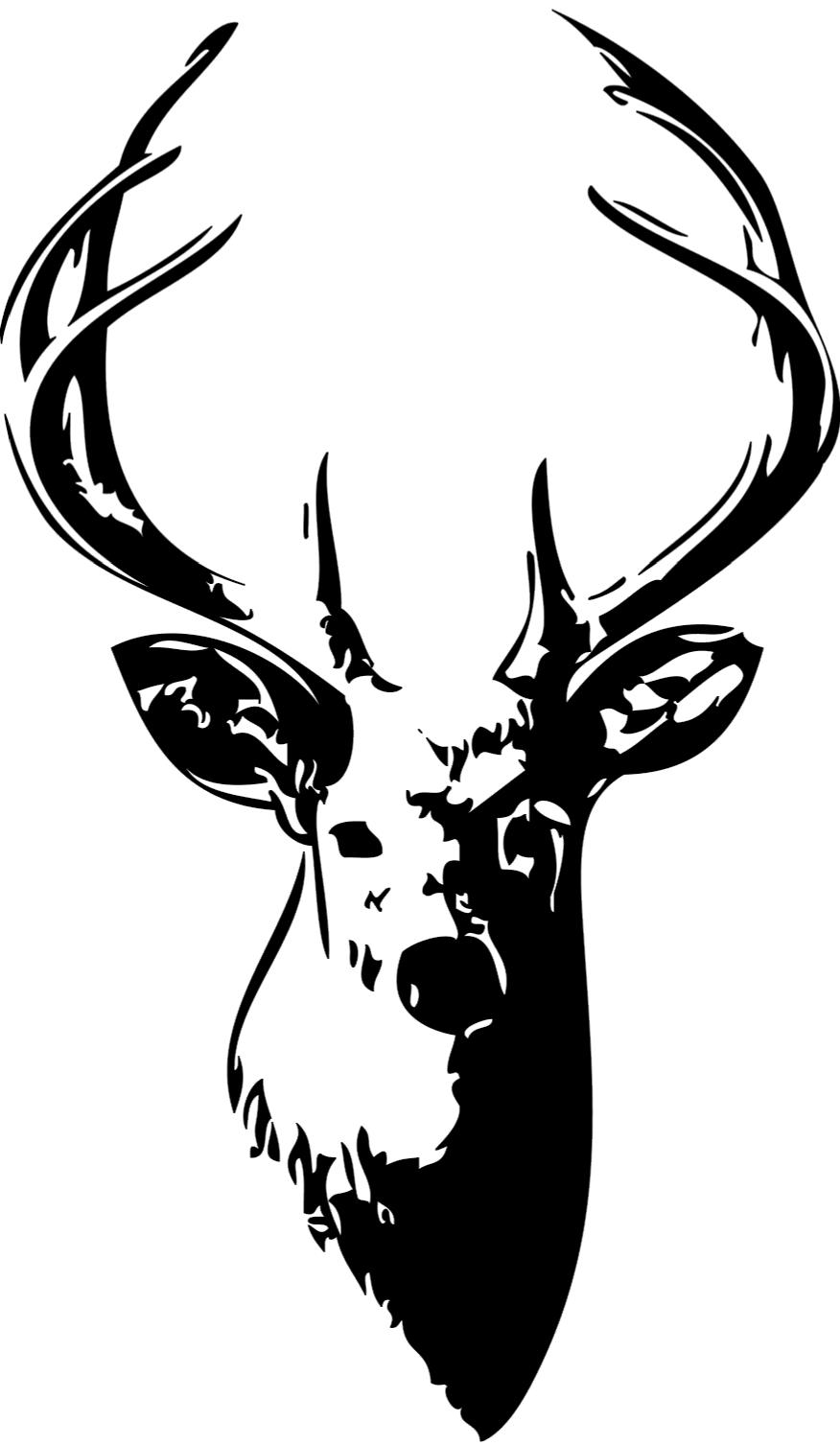Drawings Of Deer Skulls - Clipart library