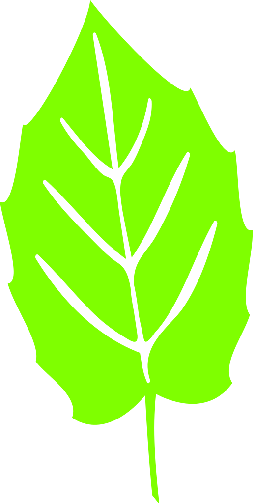 File:Leaf icon 13.svg - Wikimedia Commons