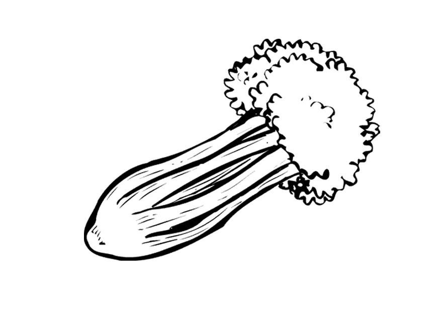 Celery Drawing Images  Pictures - Becuo