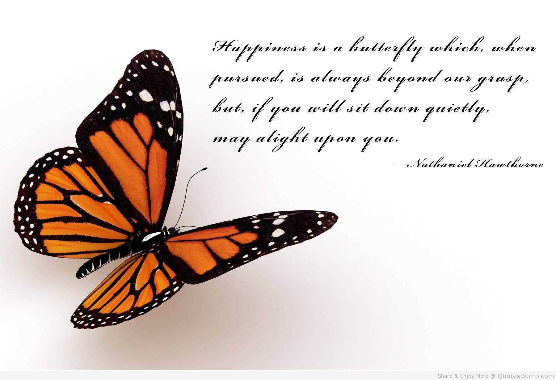 Картинка день бабочек. Бабочки с пожеланиями. Открытка бабочка. С днем рождения бабочки. Бабочки картинки.