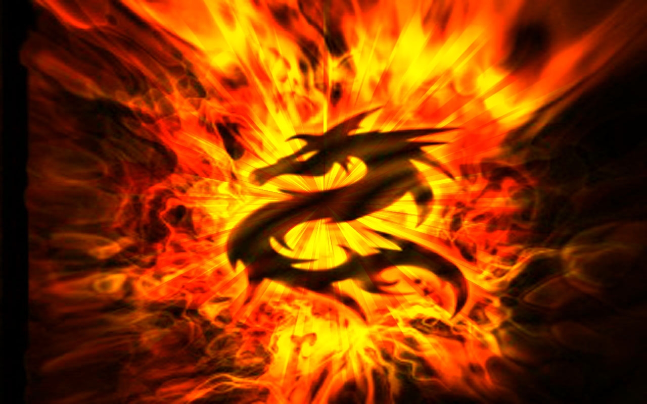 Flame Dragon Wallpapers  Wallpaper Cave