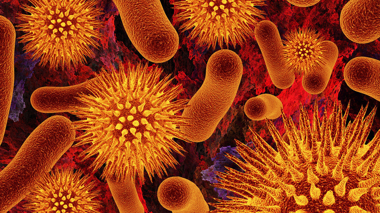 Патогенные микробы микробиология