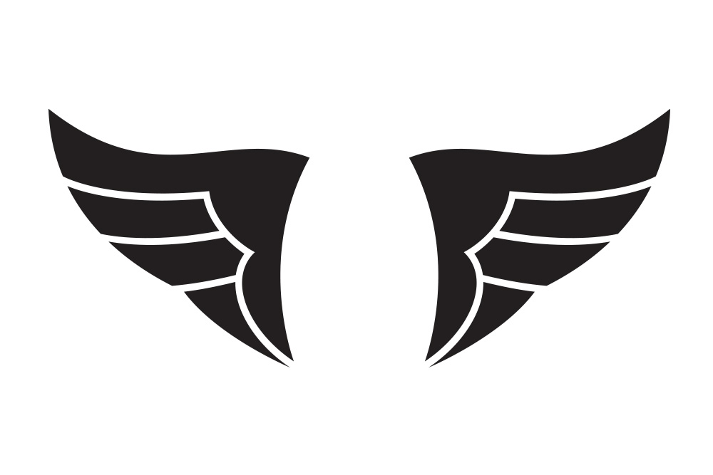 Vector wings illustration | TrashedGraphics