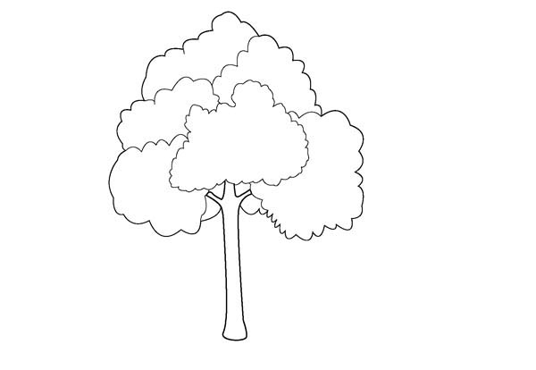 Free Tree Outline, Download Free Tree Outline png images, Free ClipArts ...