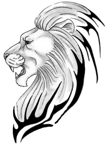 Lion face pencil sketch stock illustration. Illustration of drawings -  51695186