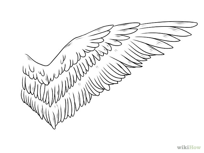 Free Wings Drawing, Download Free Wings Drawing png images, Free ...