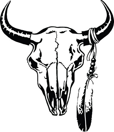 Bull Skull Drawing - Clipart library