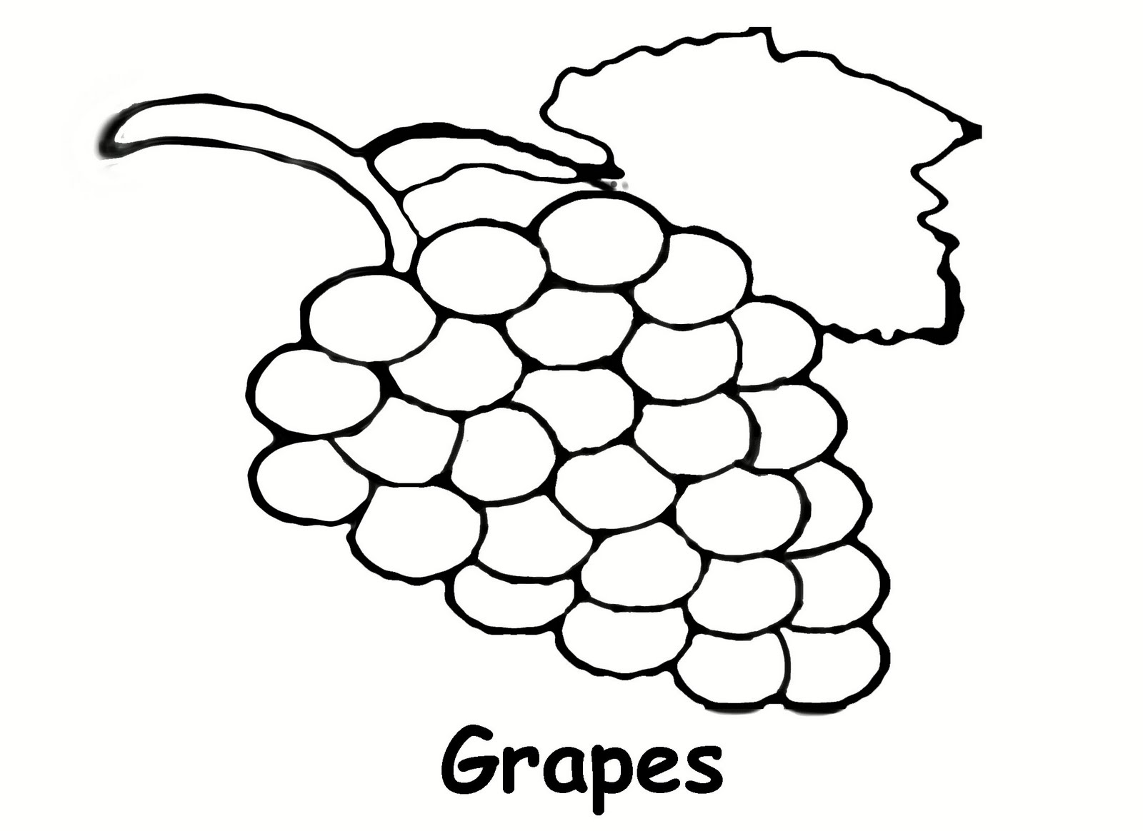 Share more than 141 grapes outline drawing latest - vietkidsiq.edu.vn