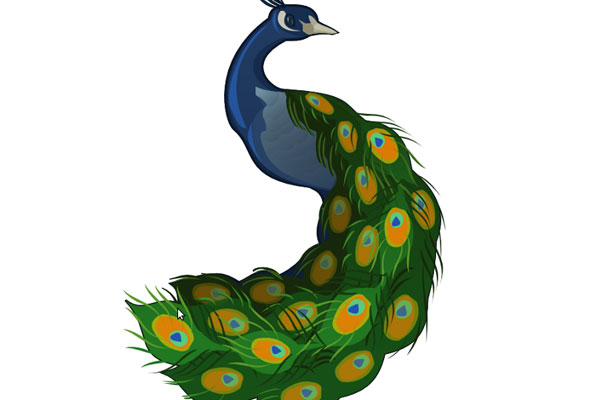 How to draw dancing peacock - YouTube
