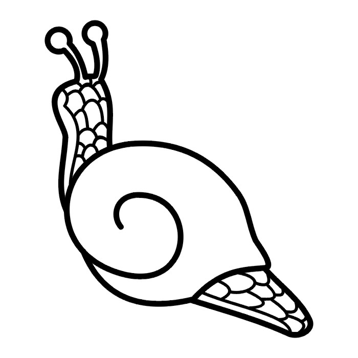 Snail Line Art Illustration - Free Download & Usage