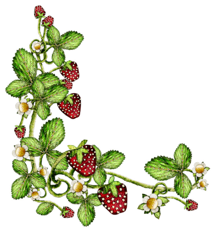 Embroidered Strawberry Vine Design - Botanical Stitch Art