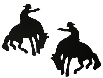 Saddles Tack Horse Supplies - ChickSaddlery.com Bucking Horse 