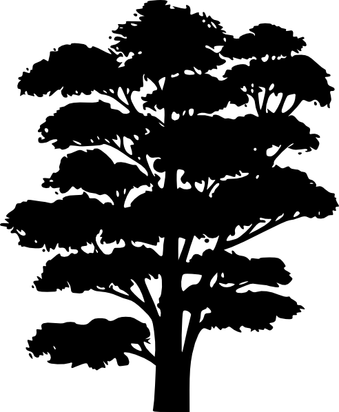Black silhouette of a tall, leafy tree with dense canopy and branching structure against white background.