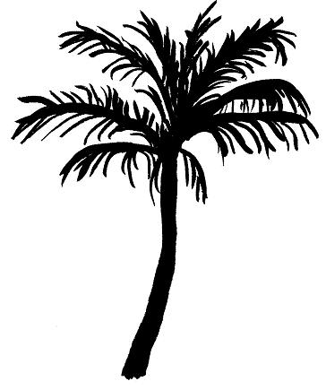 tree-silhouette-palm - Samantha Bell
