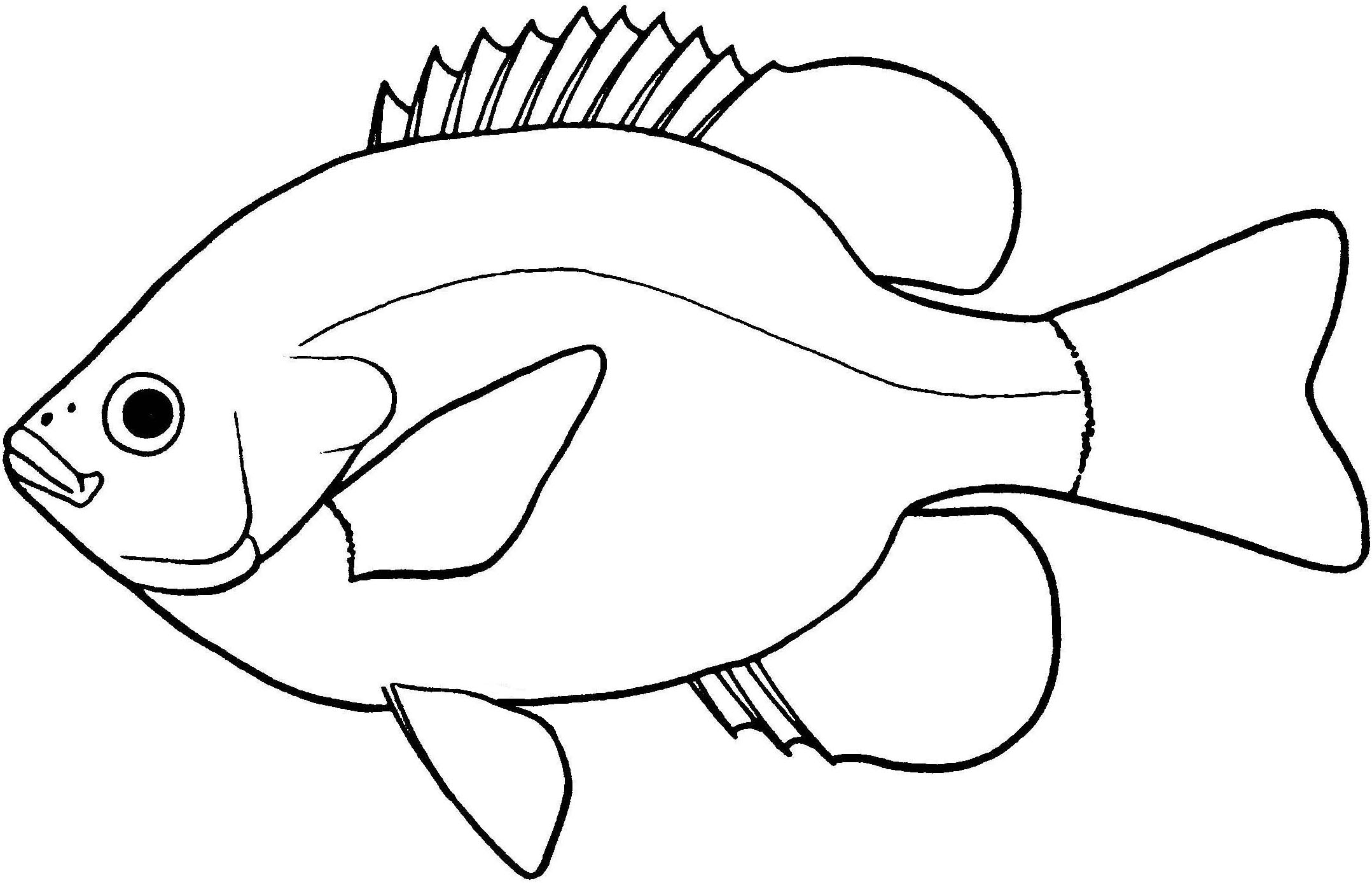 Ocean fish mola sunfish Stock Vector Images - Alamy