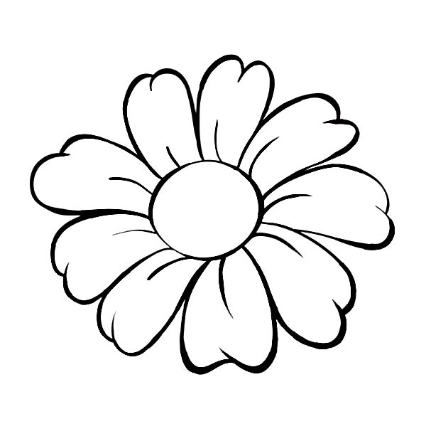 Daisy Flower Outline Coloring Page - Free  Printable Coloring 